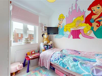 Picture 23